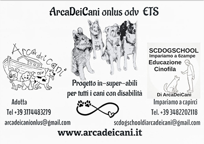 Arca dei cani