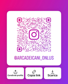 Instagram Arca