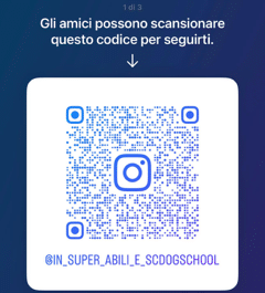 Instagram School