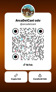 TikTok Arca