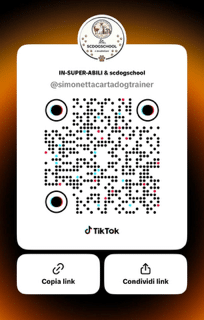 TikTok School